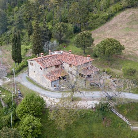Fattoria Di Cintoia Villa Pontassieve Exterior foto