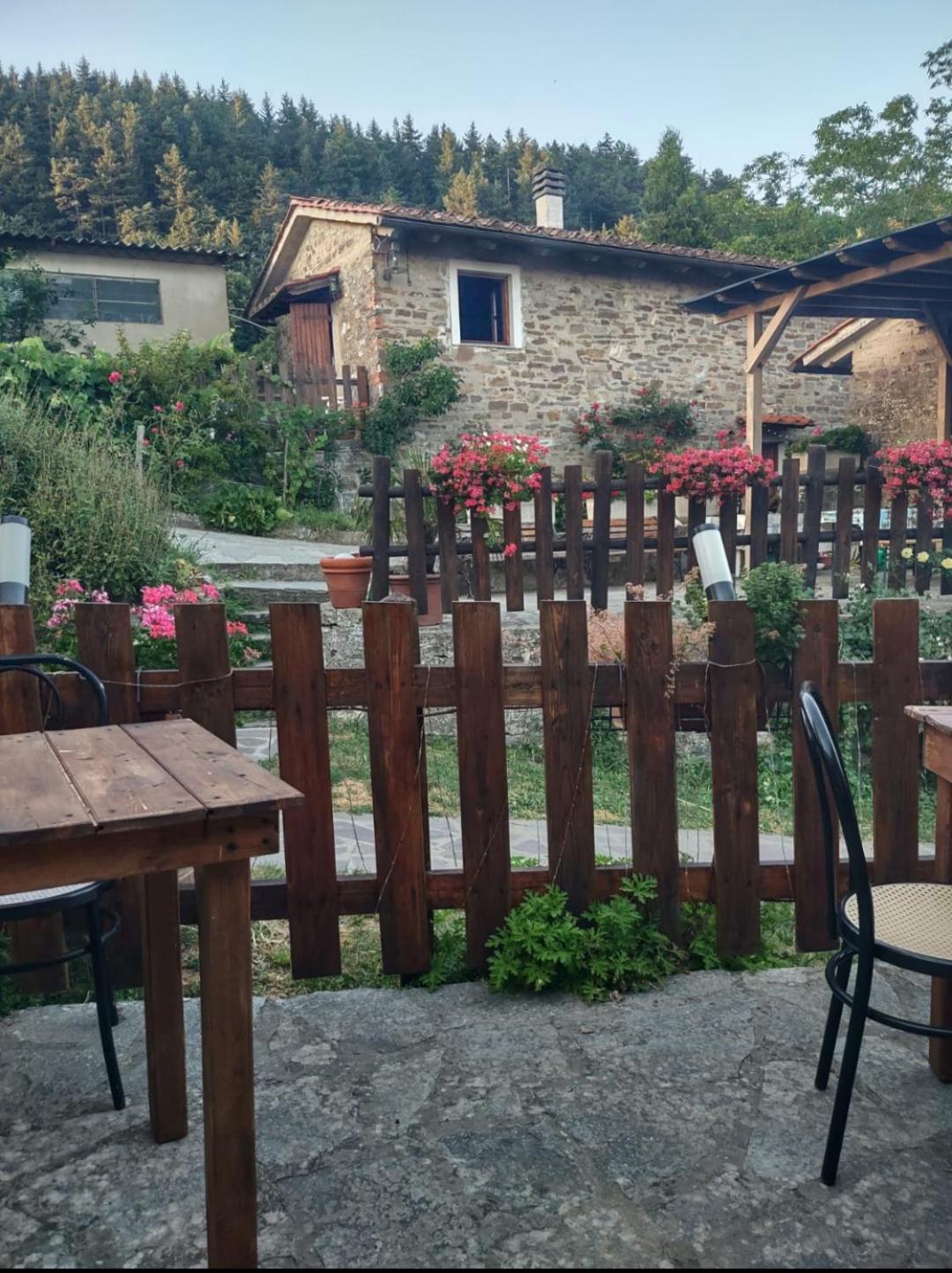 Fattoria Di Cintoia Villa Pontassieve Exterior foto
