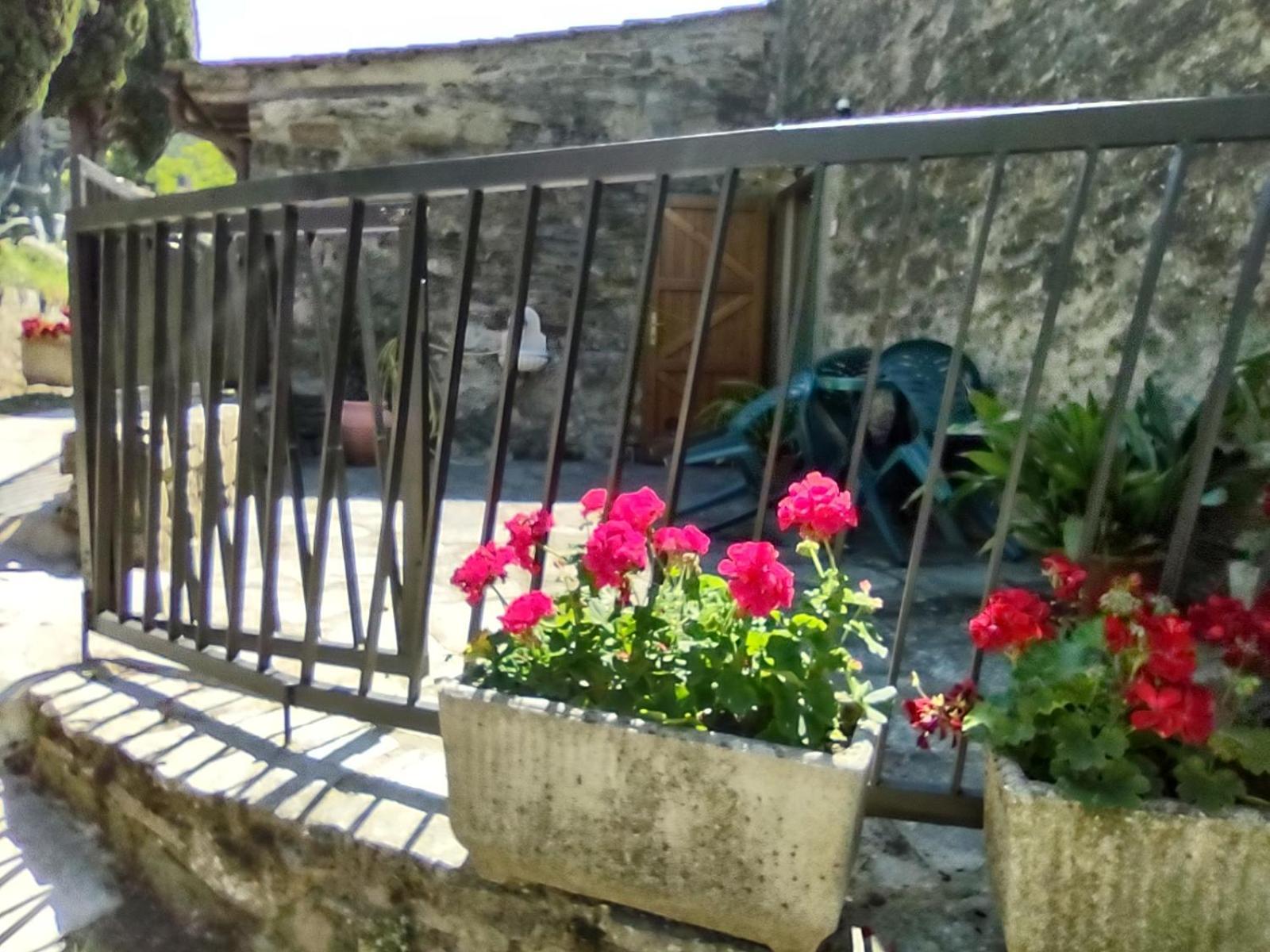 Fattoria Di Cintoia Villa Pontassieve Exterior foto
