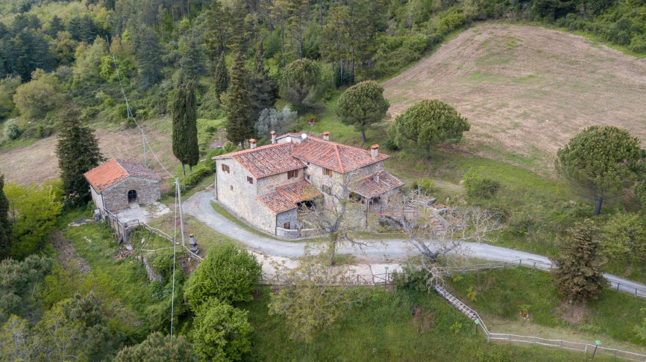 Fattoria Di Cintoia Villa Pontassieve Exterior foto