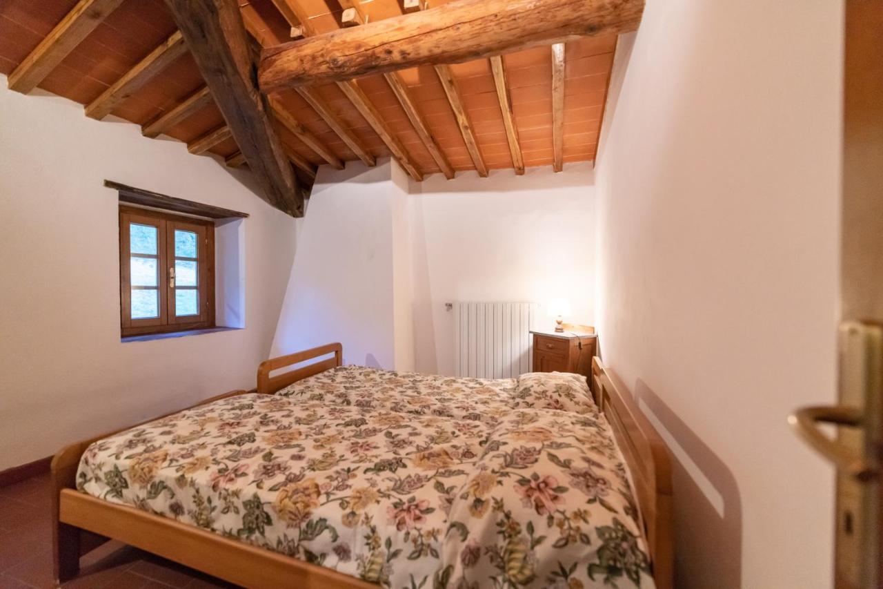 Fattoria Di Cintoia Villa Pontassieve Exterior foto