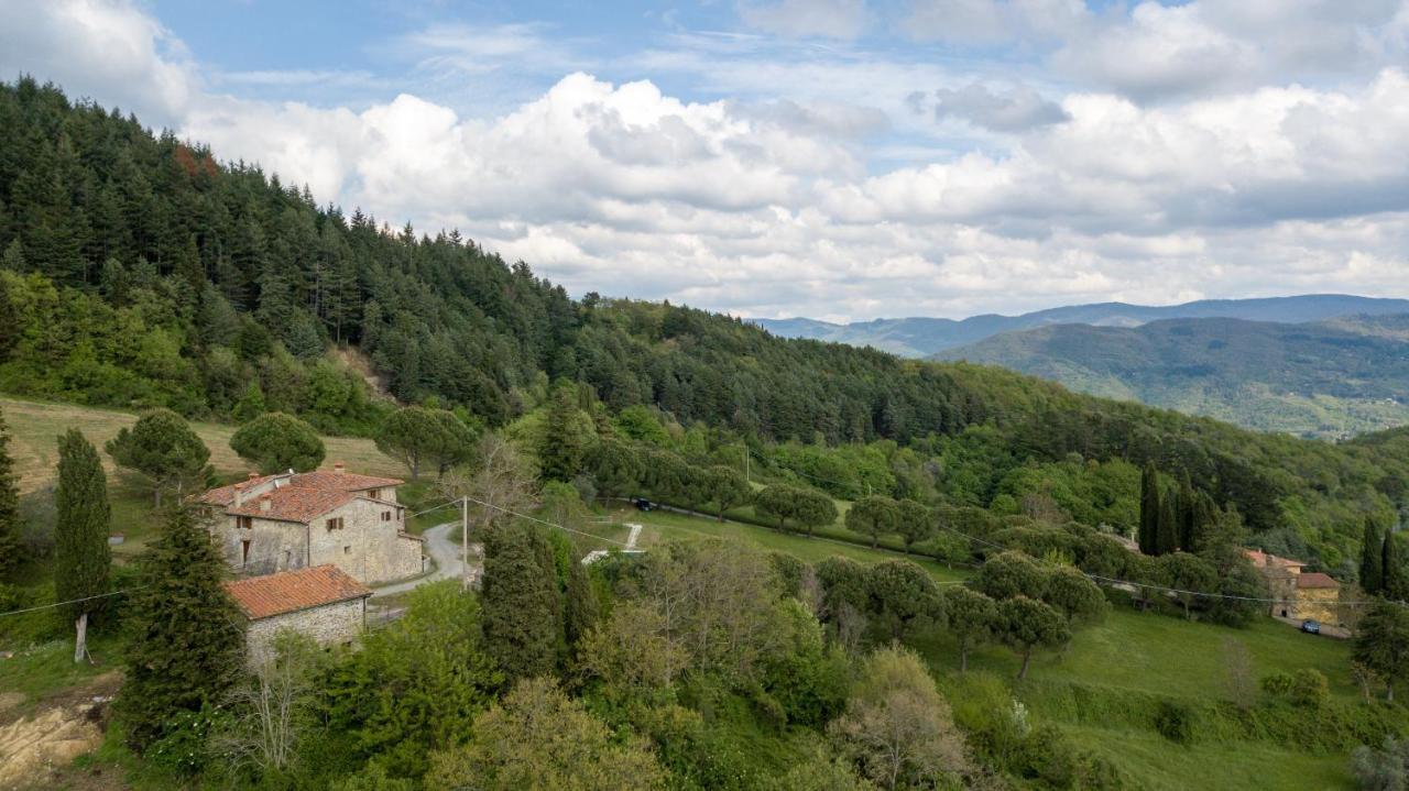 Fattoria Di Cintoia Villa Pontassieve Exterior foto