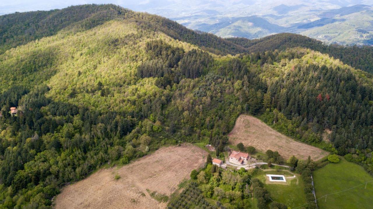 Fattoria Di Cintoia Villa Pontassieve Exterior foto
