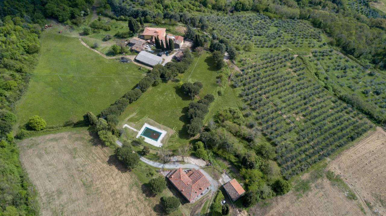 Fattoria Di Cintoia Villa Pontassieve Exterior foto