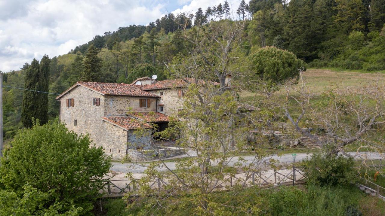 Fattoria Di Cintoia Villa Pontassieve Exterior foto